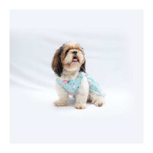 Pawgy Pets Floral Dress - Wagr Petcare
