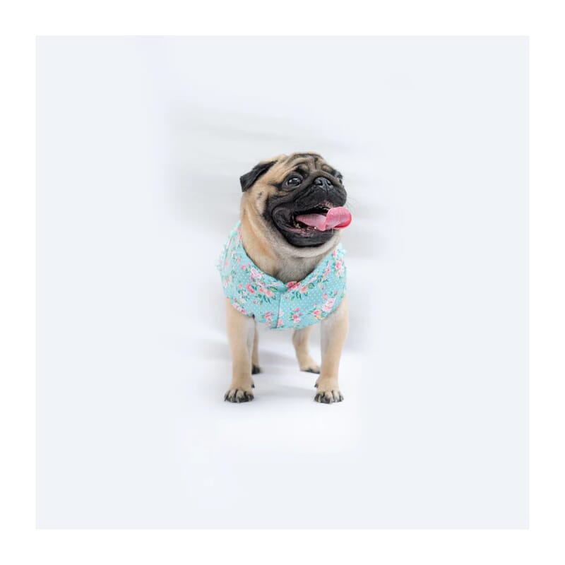 Pawgy Pets Floral Sando/Tshirt - Wagr Petcare