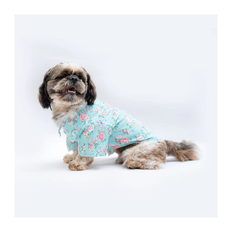 Pawgy Pets Floral Shirt - Wagr Petcare