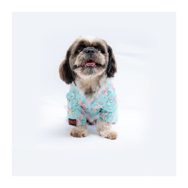 Pawgy Pets Floral Shirt - Wagr Petcare