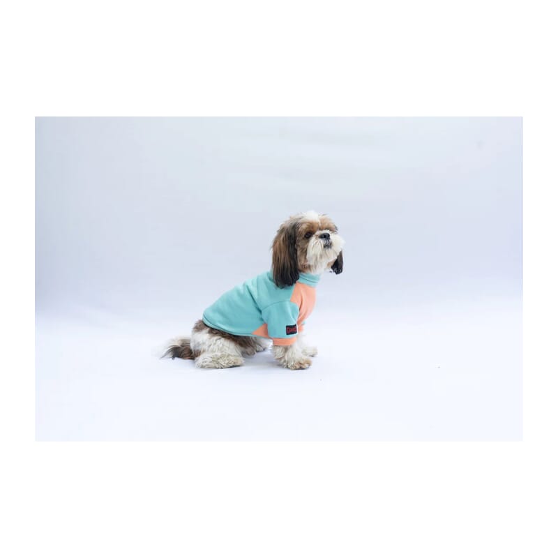 Pawgy Pets High Neck Sweater for Dogs - Mint with Peach - Wagr Petcare