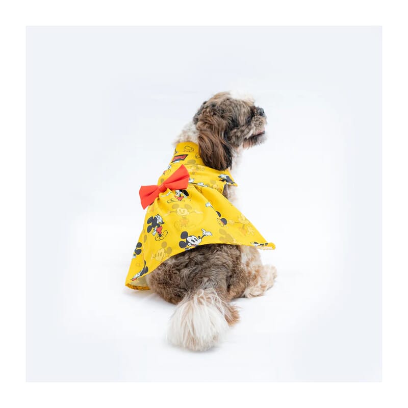 Pawgy Pets Mickey Dress - Wagr Petcare