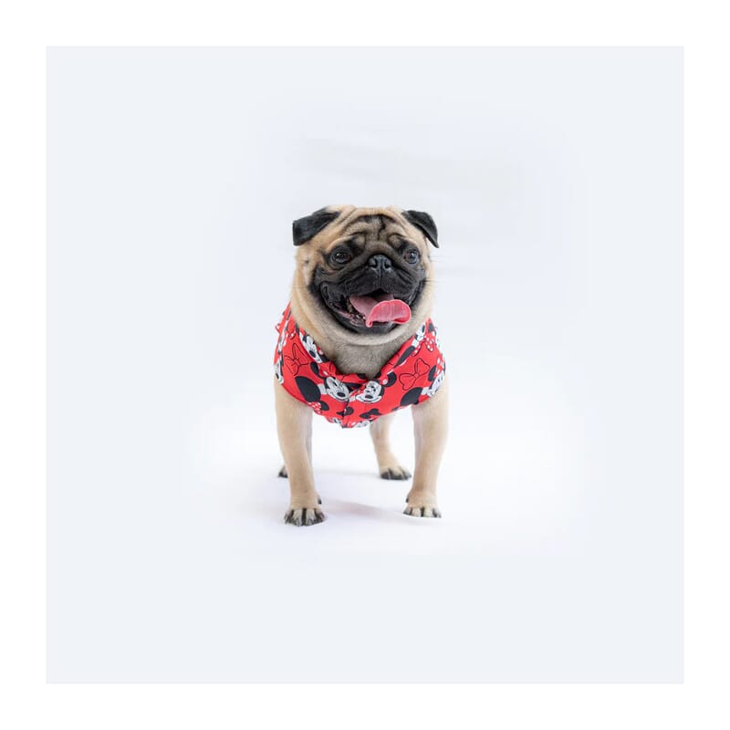 Pawgy Pets Mickey Sando/Tshirt - Wagr Petcare