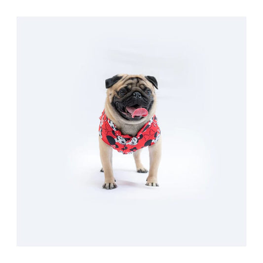 Pawgy Pets Mickey Sando/Tshirt - Wagr Petcare