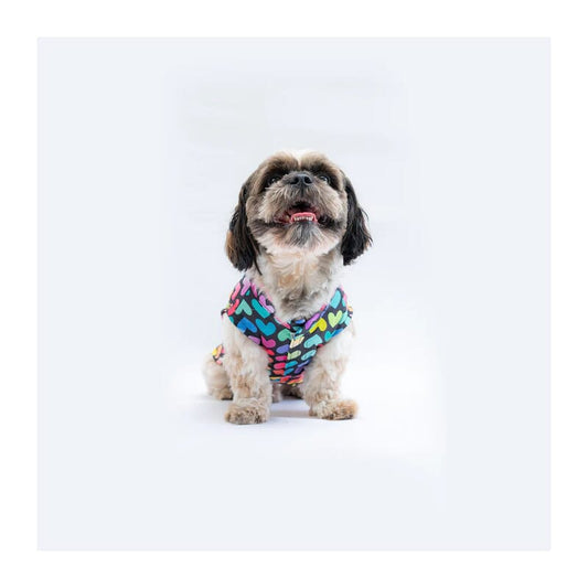 Pawgy Pets Multicoloured Heart Sando/Tshirt - Wagr Petcare