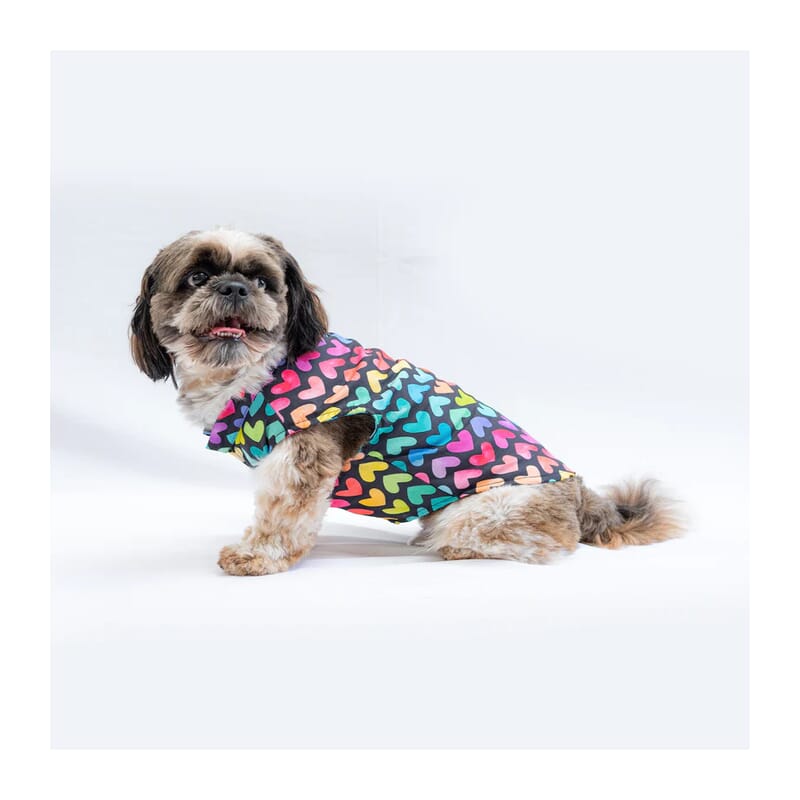 Pawgy Pets Multicoloured Heart Sando/Tshirt - Wagr Petcare