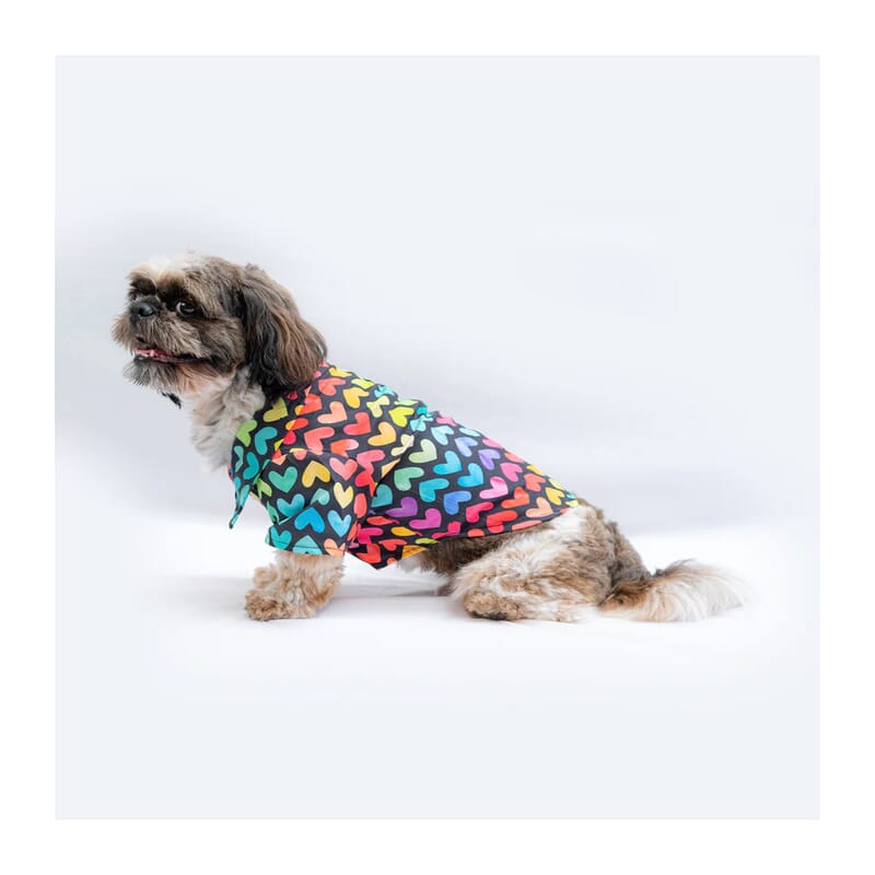 Pawgy Pets Multicoloured Hearts Shirt - Wagr Petcare