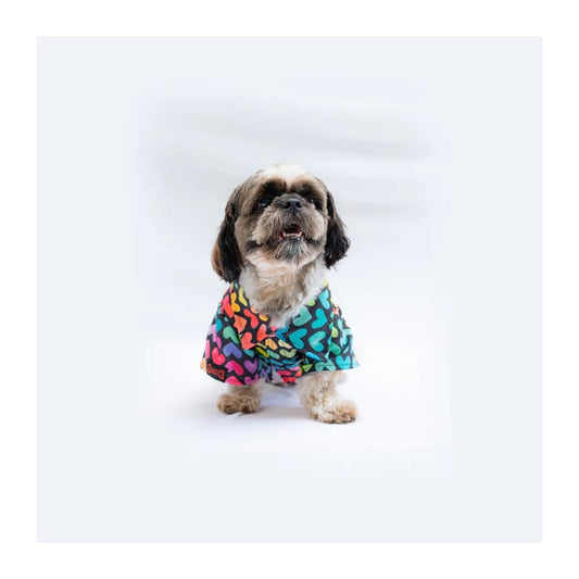 Pawgy Pets Multicoloured Hearts Shirt - Wagr Petcare