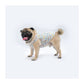 Pawgy Pets Rainbow Sando/Tshirt - Wagr Petcare