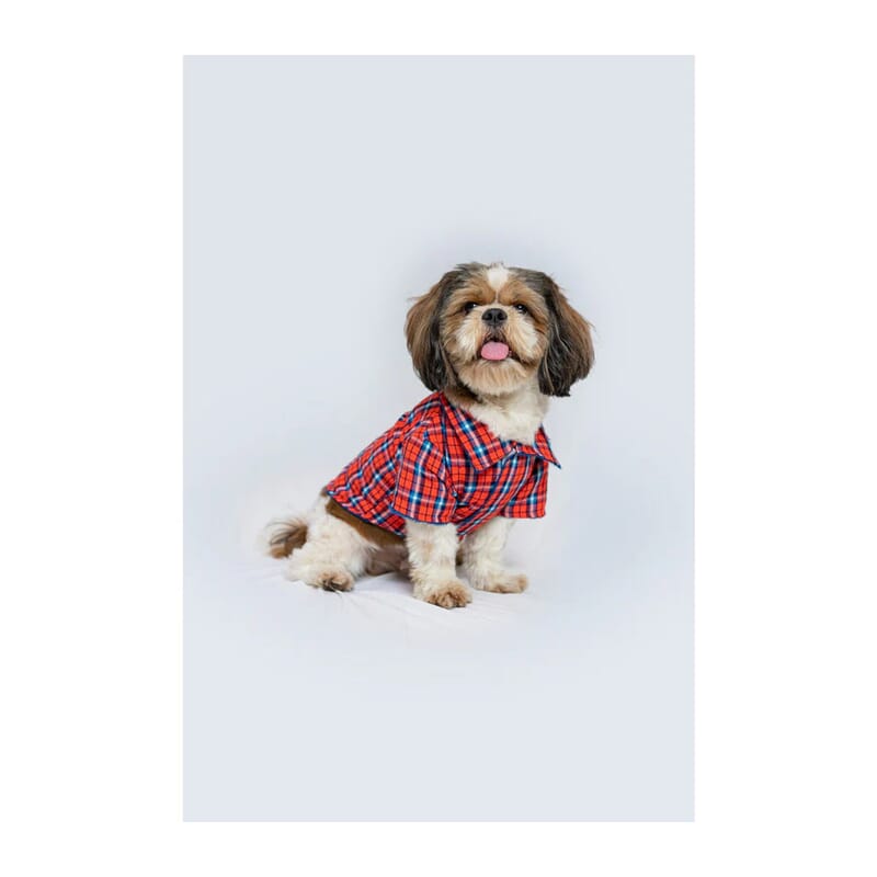 Pawgy Pets Reversible Shirt for Dogs - Wagr Petcare