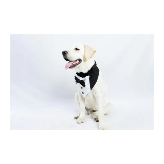 Pawgy Pets Tuxedo Bandana - Wagr Petcare