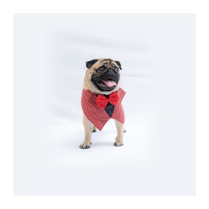 Pawgy Pets Waistcoat Tuxedo Bandana for Pets - Wagr Petcare
