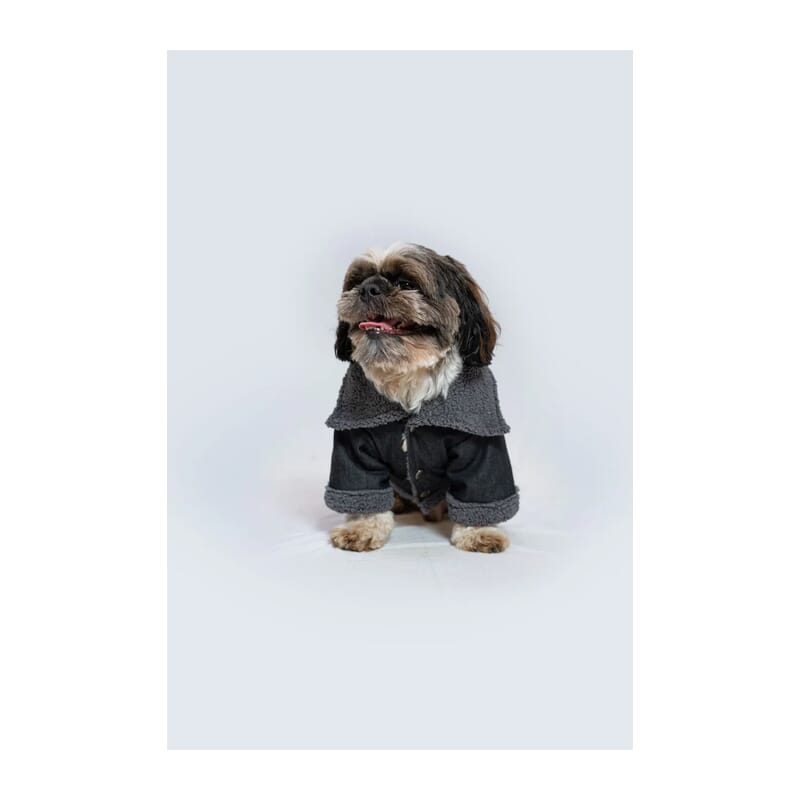 Pawgy Pets Warm Denim Jacket - Grey - Wagr Petcare