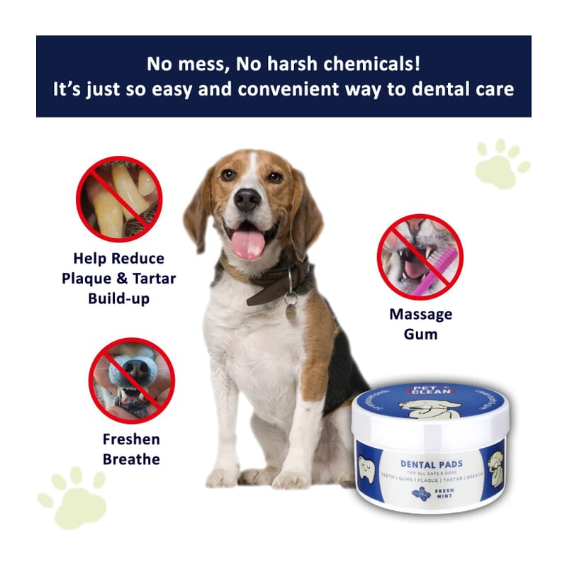 Pet Clean Pet Dental Wipes - Wagr Petcare