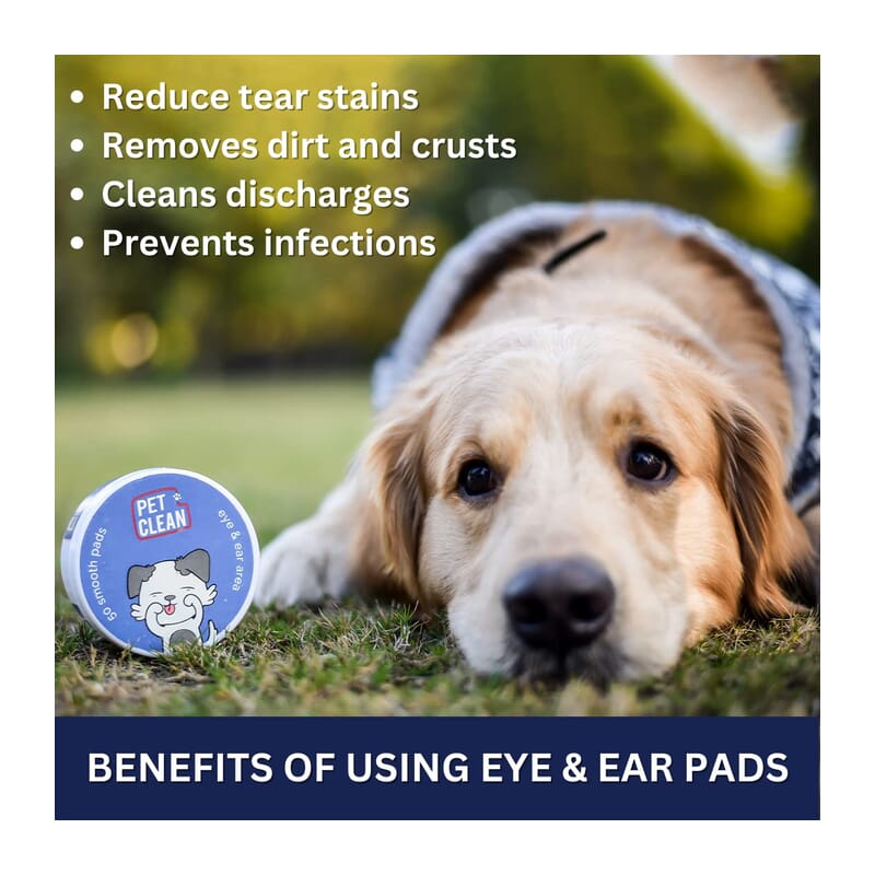 Pet Clean Pet Eye/ Ear Wipes - Wagr Petcare
