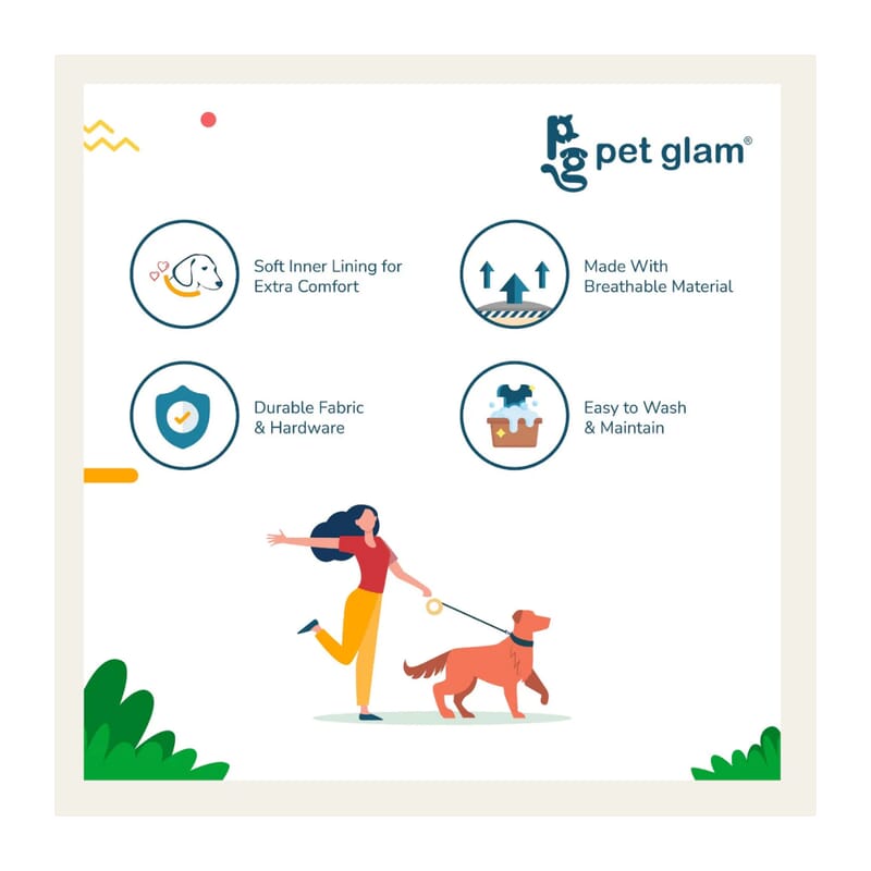 Pet Glam Dog Collar, Aqua - Wagr - The Smart Petcare Platform