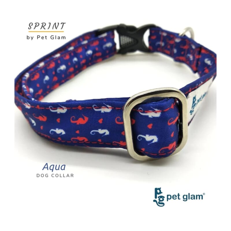 Pet Glam Dog Collar, Aqua - Wagr - The Smart Petcare Platform
