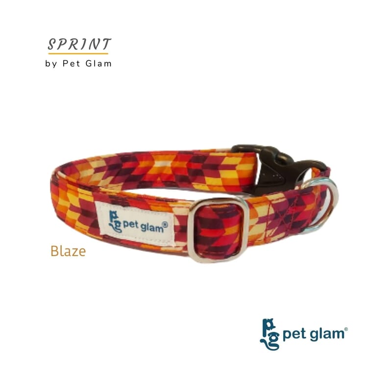 Pet Glam Dog Collar, Blaze - Wagr - The Smart Petcare Platform