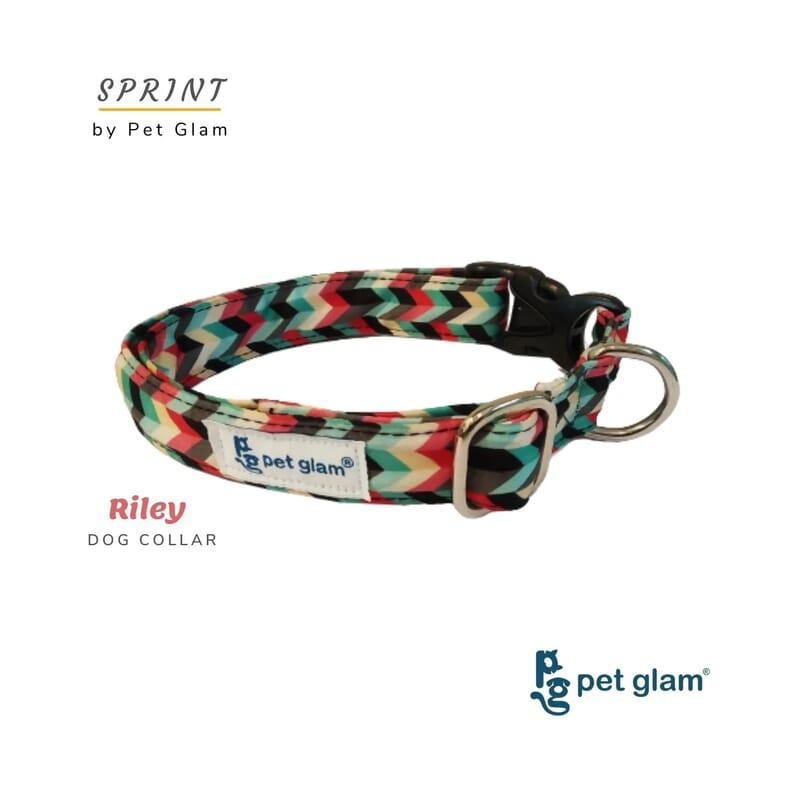 Pet Glam Dog Collar, Riley - Wagr - The Smart Petcare Platform