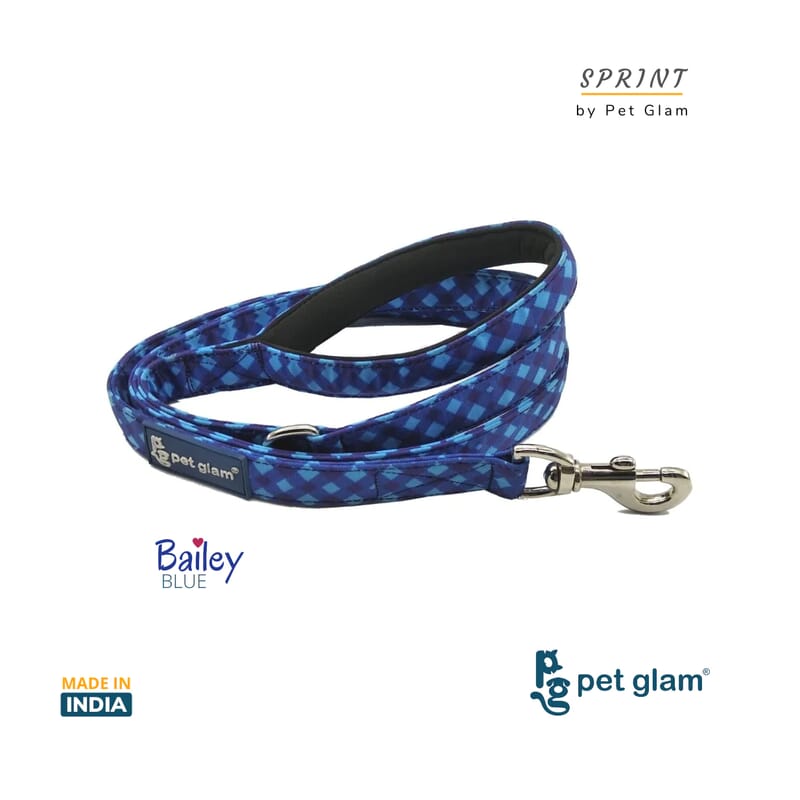 Pet Glam Dog Leash, Bailey Blue - Soft Padded Handle Leash For Dogs - Wagr - The Smart Petcare Platform