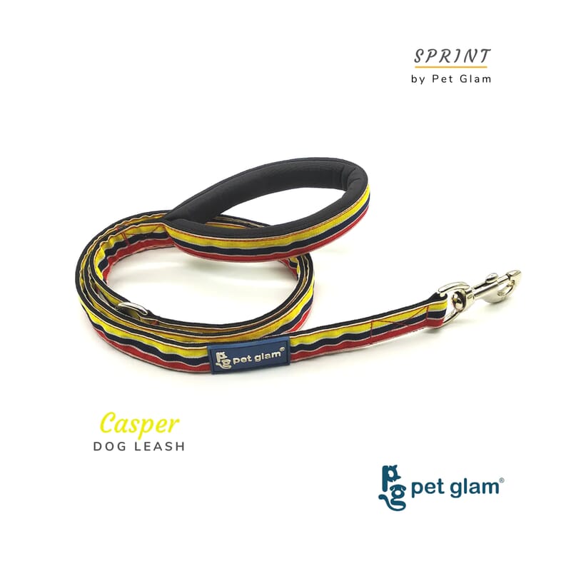 Pet Glam Dog Leash, Casper - For Small Medium Large Dogs-with Padded Handle - Wagr - The Smart Petcare Platform