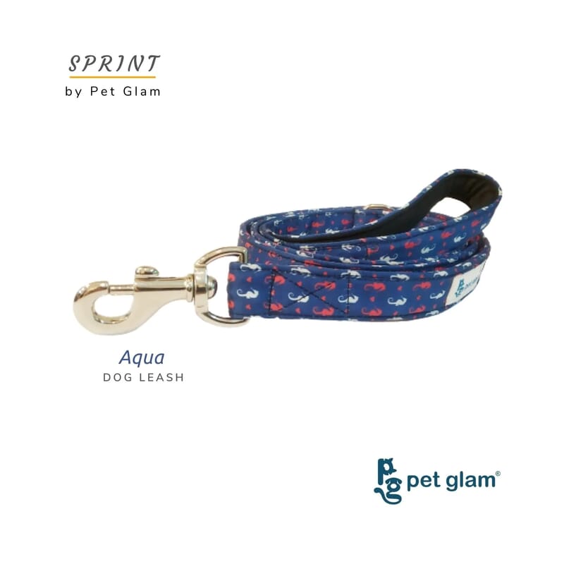 Pet Glam Dog Leash For Puppies And Large Dogs, Aqua - soft Handle strong Dog Leash - Wagr - The Smart Petcare Platform