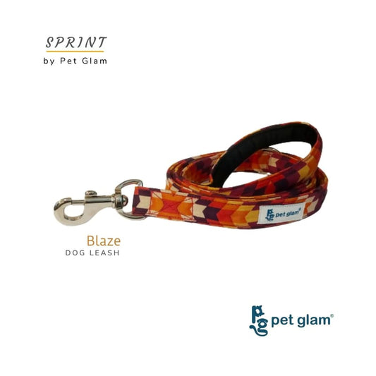 Pet Glam Dog Leash For Puppies And Large Dogs, Blaze - Soft Handle Strong Dog Leash - Wagr - The Smart Petcare Platform