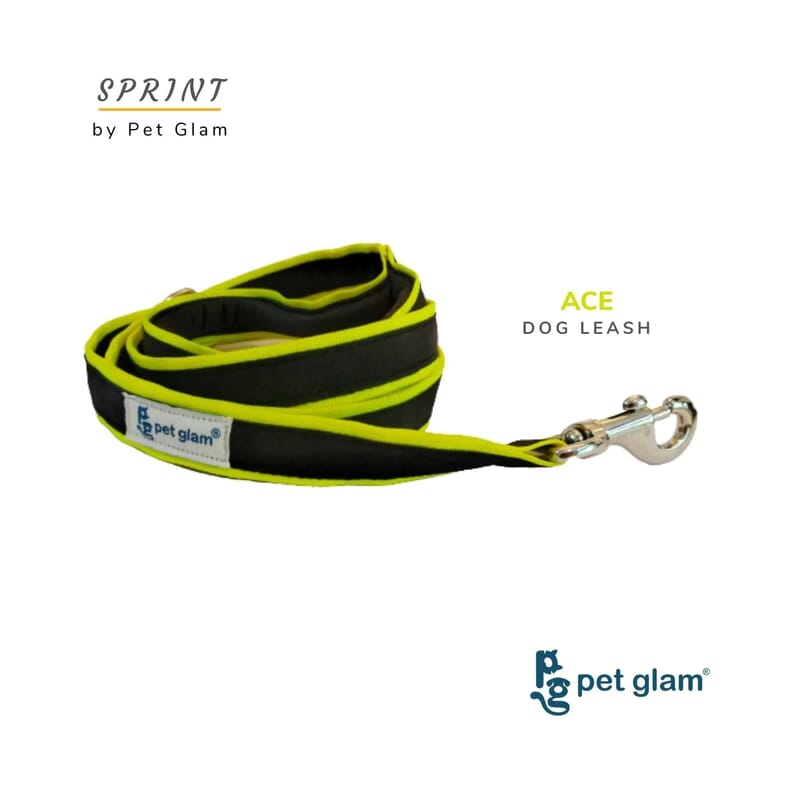 Pet Glam Dog Leash For Puppy Dogs, Ace - Wagr - The Smart Petcare Platform