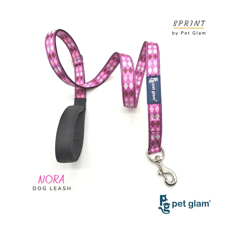 Pet Glam Dog Leash, Nora - Soft Padded Handle Leash For Dogs - Wagr - The Smart Petcare Platform