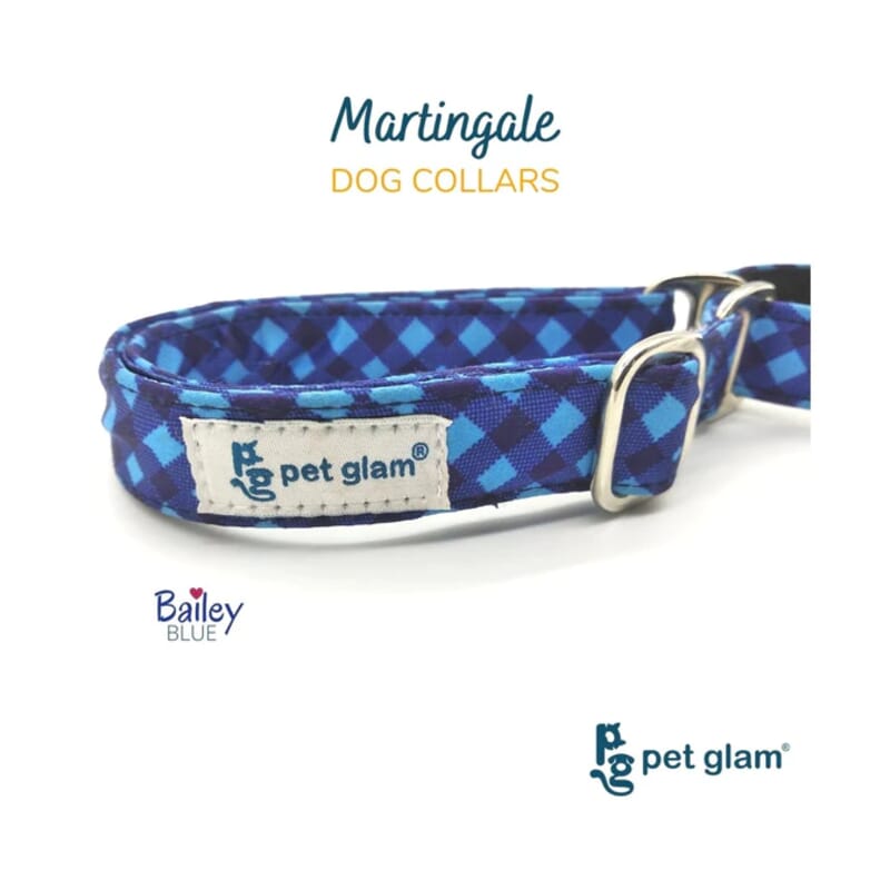 Pet Glam Martingale Dog Collar, Bailey Blue - Wagr - The Smart Petcare Platform