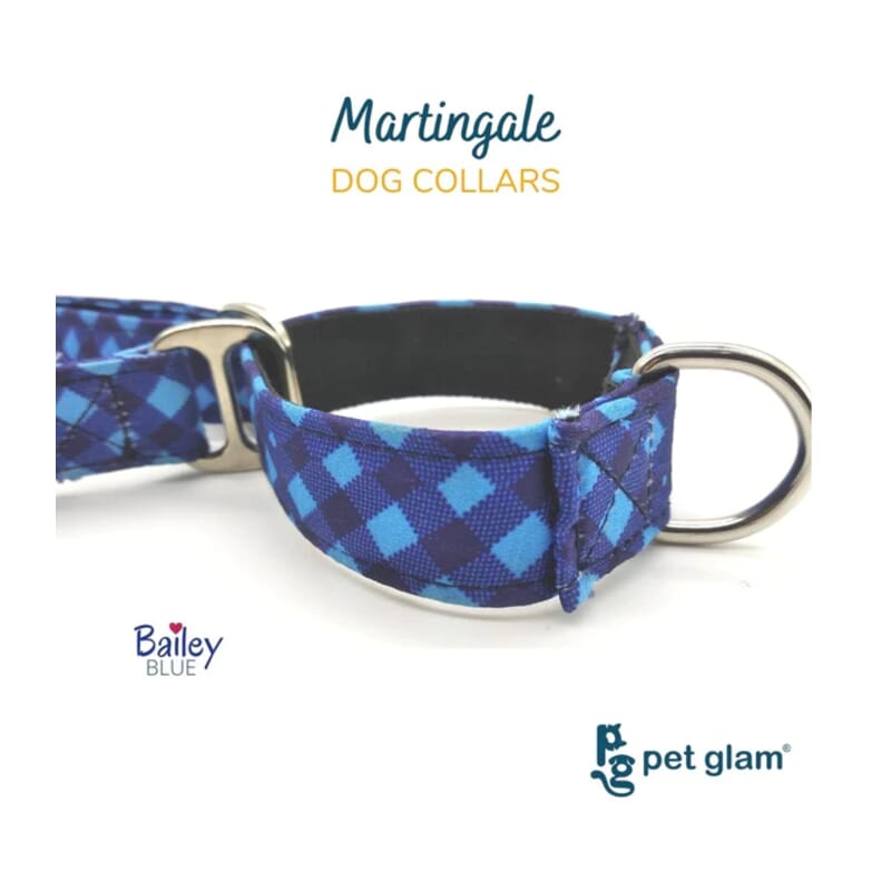 Pet Glam Martingale Dog Collar, Bailey Blue - Wagr - The Smart Petcare Platform