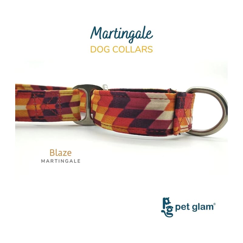 Pet Glam Martingale Dog Collar, Blaze - Wagr - The Smart Petcare Platform