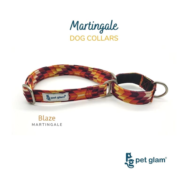 Pet Glam Martingale Dog Collar, Blaze - Wagr - The Smart Petcare Platform