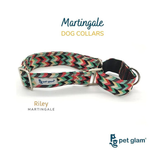 Pet Glam Martingale Dog Collar, Riley - Wagr - The Smart Petcare Platform