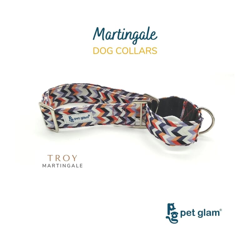 Pet Glam Martingale Dog Collar, Troy - Wagr - The Smart Petcare Platform