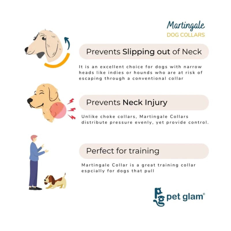 Pet Glam Martingale Dog Collar, Troy - Wagr - The Smart Petcare Platform