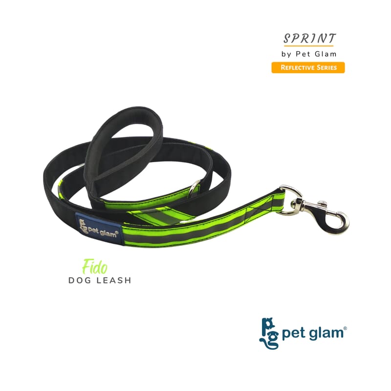 Pet Glam Reflective Dog Leash, Fido - Soft Padded Handle Leash For Dogs - Wagr - The Smart Petcare Platform
