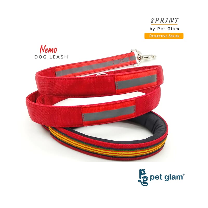 Pet Glam Reflective Dog Leash, Nemo - Soft Padded Handle Leash For Dogs - Wagr - The Smart Petcare Platform