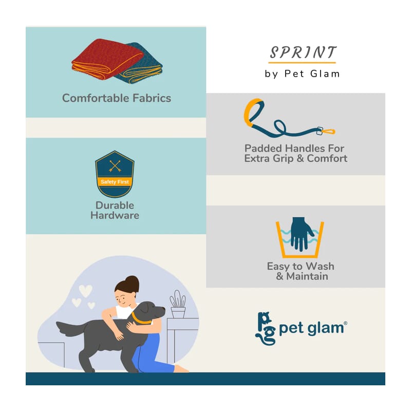 Pet Glam-sprint Dog Leash, Alpine - with Padded Handle heavy Duty Hardware - Wagr - The Smart Petcare Platform