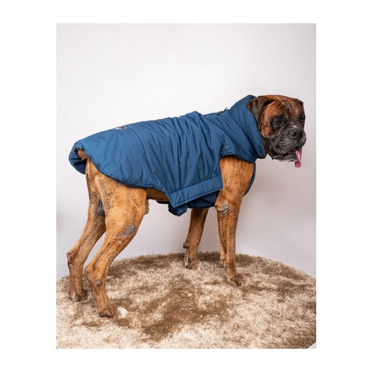 Petsnugs Blue Jacket - Wagr Petcare