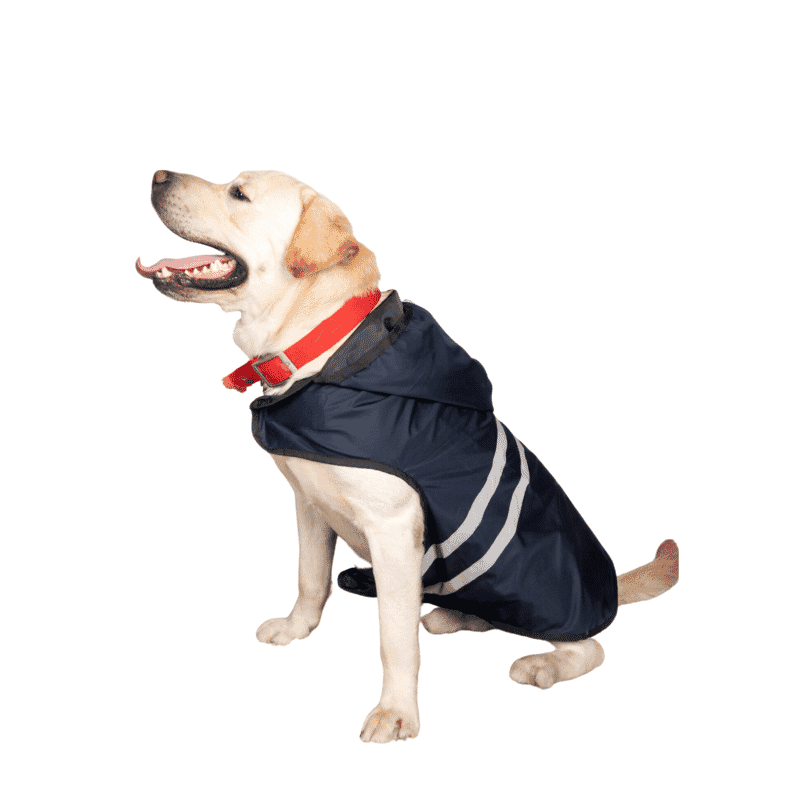 Petsnugs Blue Reflective Raincoat - Wagr Petcare