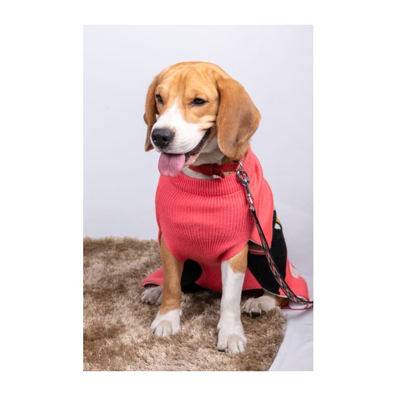 Petsnugs Bone and Paws Sweater Pink & Black - Wagr Petcare