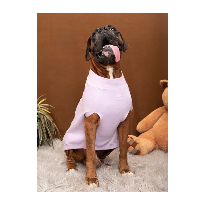 Petsnugs Cute Devil Sweatshirt for Dogs - Wagr - The Smart Petcare Platform
