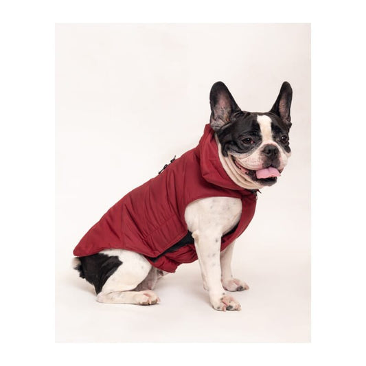 Petsnugs Maroon Jacket for Dogs - Wagr - The Smart Petcare Platform