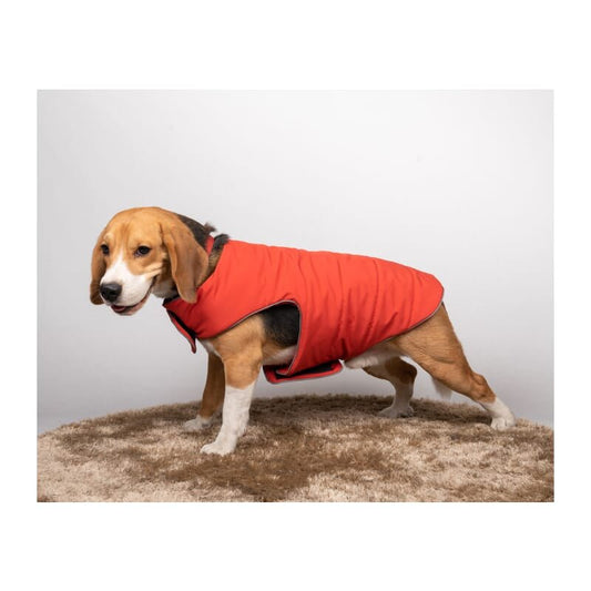 Petsnugs Rust Jacket - Wagr Petcare