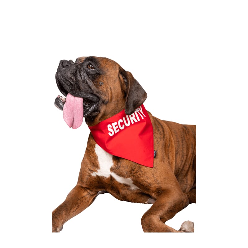 Petsnugs Security Bandana - Bright Red - Wagr Petcare
