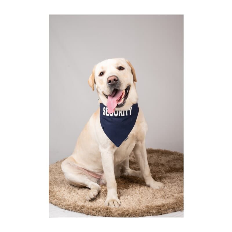 Petsnugs Security Bandana - Navy Blue - Wagr Petcare