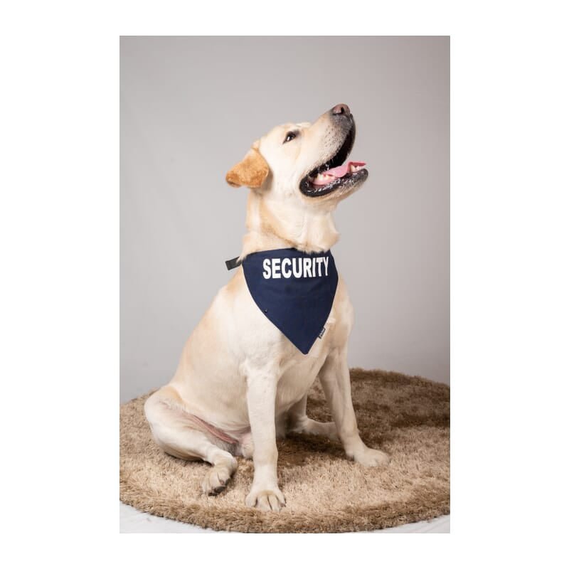 Petsnugs Security Bandana - Navy Blue - Wagr Petcare