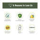 PureCult Eco-Friendly All Surface Cleaner - Wagr - The Smart Petcare Platform