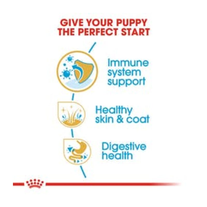 Royal Canin Breed Health Nutritiongolden Retriever Puppy Dry Dog Food - Wagr - The Smart Petcare Platform